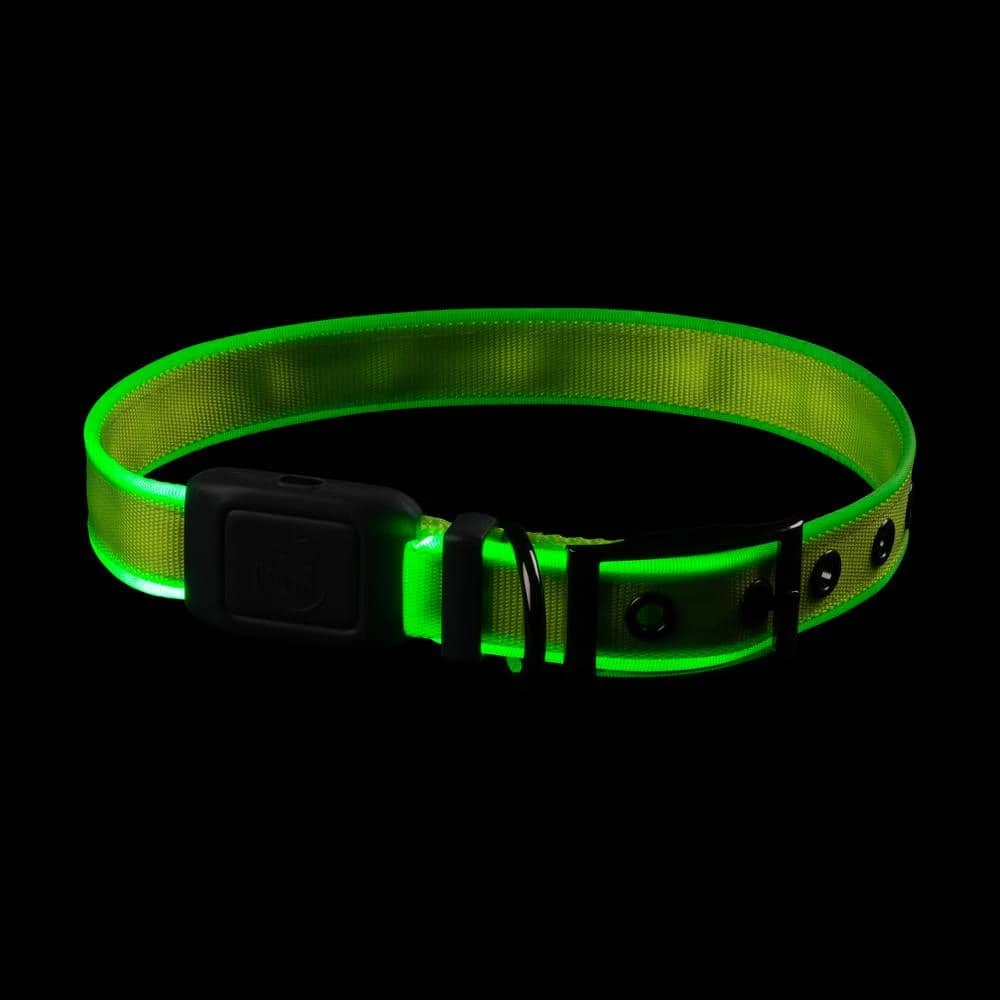 NiteDog - L - Lime/Green Rechargeable LED Collar by Nite Ize