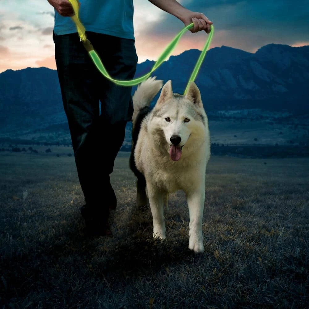 NiteDog Rechargeable LED Leash - Lime/Green LED by Nite Ize - Image 7