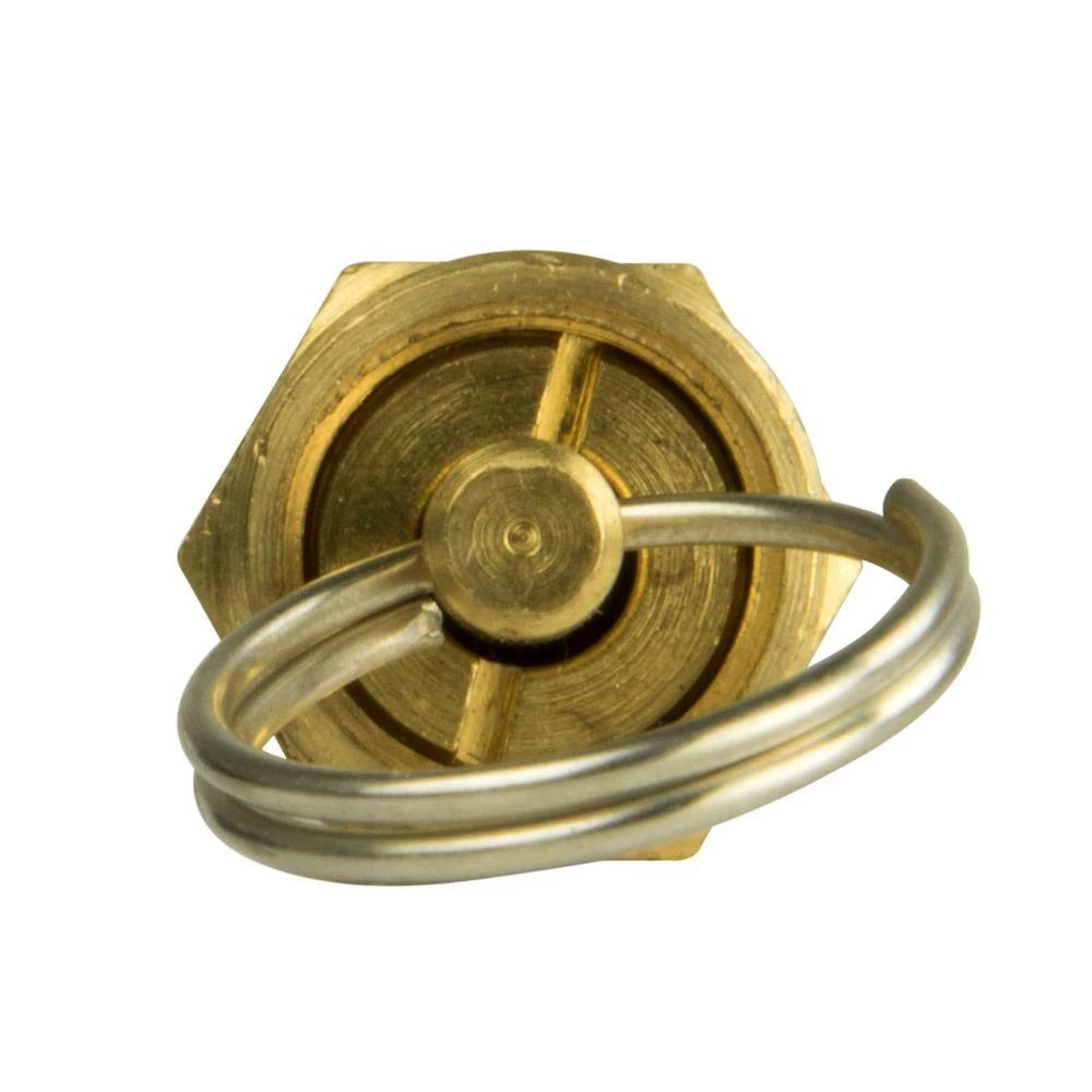 175 psi Pressure Relief Valve by Powermate - Image 2